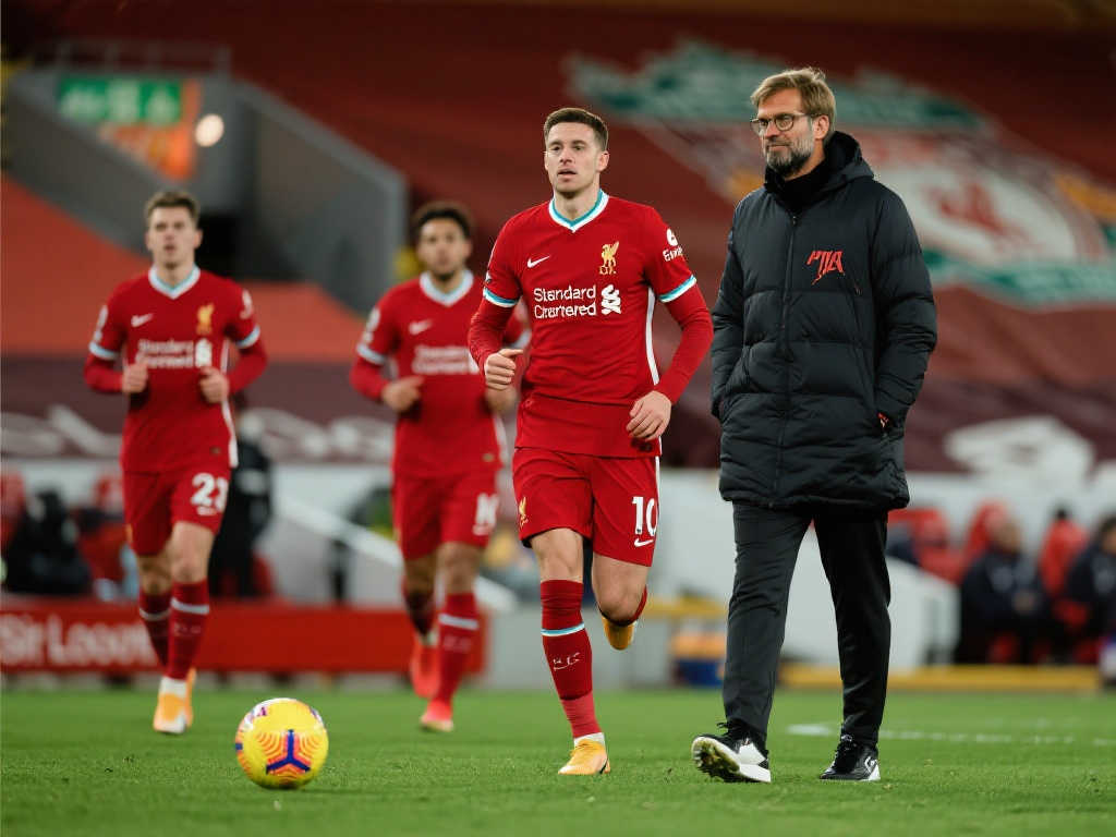 综上所述 综上所述