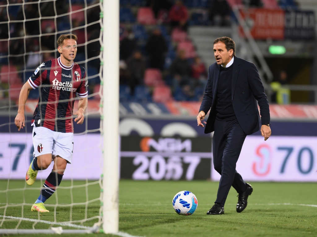 的温暖与力 的温暖与力