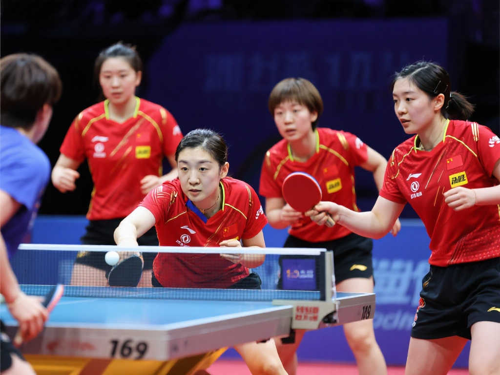 了团队的研 了团队的研